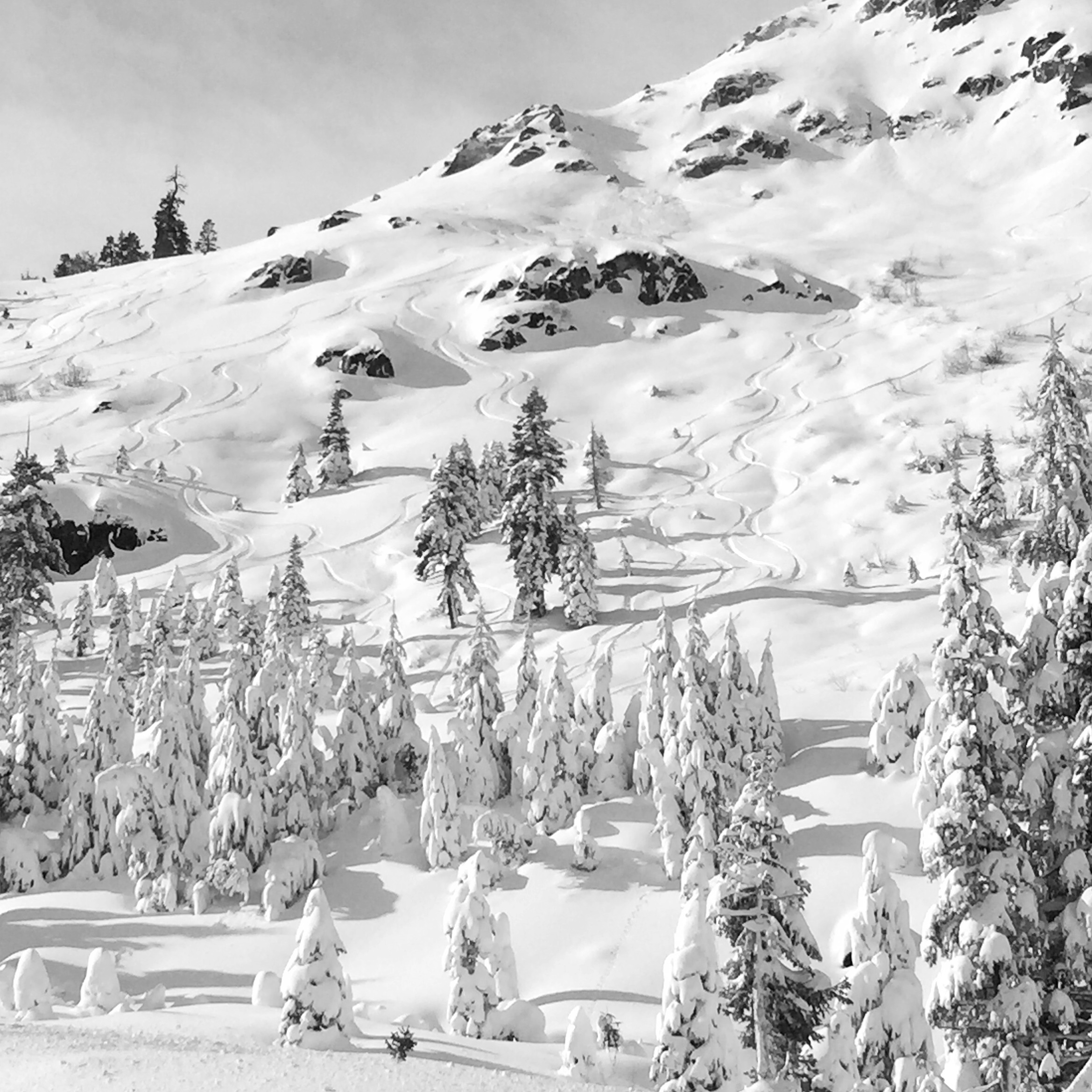 Snow covered mountain